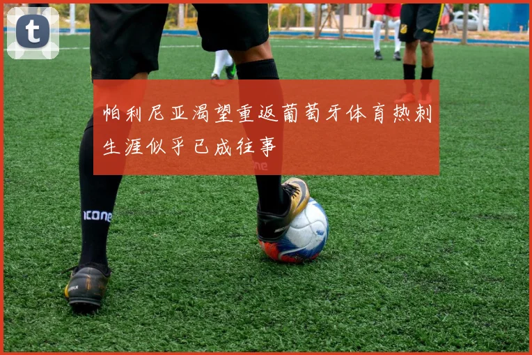 帕利尼亚渴望重返葡萄牙体育热刺生涯似乎已成往事